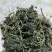 批发特级野生干灰灰菜宾馆酒店专用野菜250g/500g干菜脱