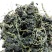 批发特级野生干灰灰菜宾馆酒店专用野菜250g/500g干菜脱