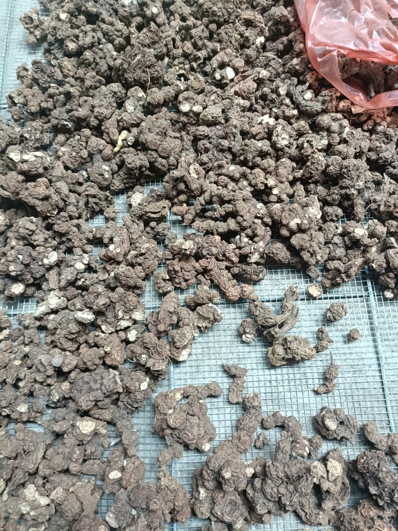 大别山纯野生苍术。香味扑鼻。菊花断面红色朱砂点。数量不多
