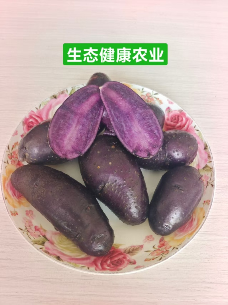 河北石家庄黑土豆、紫土豆、红土豆，寻找采购商