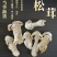 正宗野生雪山松茸干货云南香格里拉松茸新鲜菌菇干片100g野生
