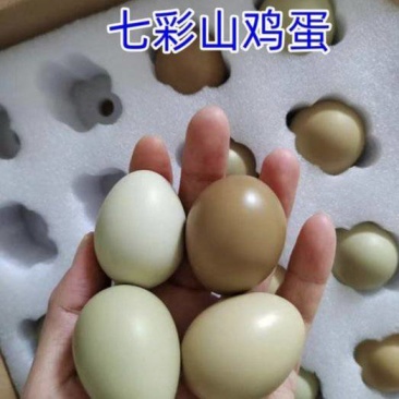 山东德州七彩山鸡蛋