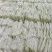 香蕉袋子苗红香蕉/威廉斯/天宝/红皮规格齐全，技术指导