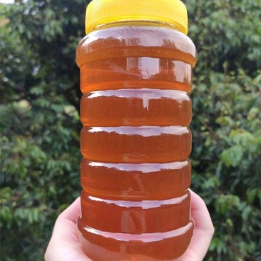 土蜂蜜