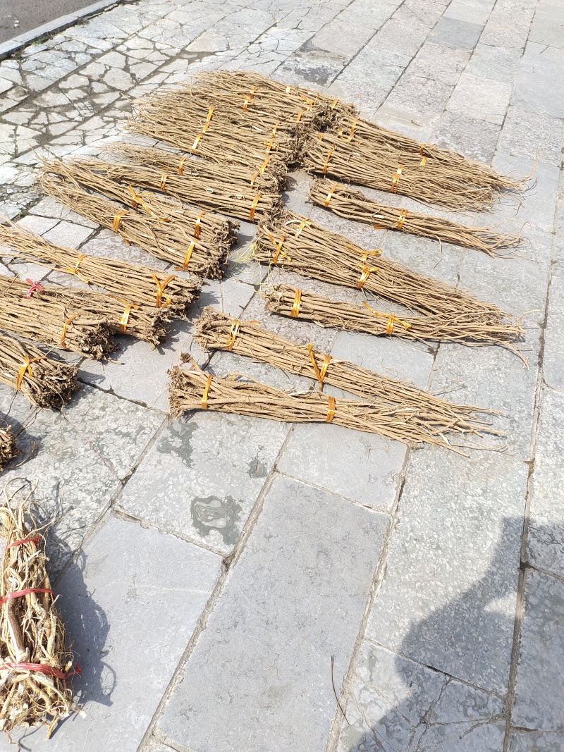 千金拔干货11元一斤