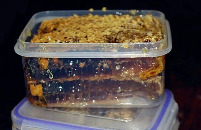 大巴山森林土蜂蜜一年采一次