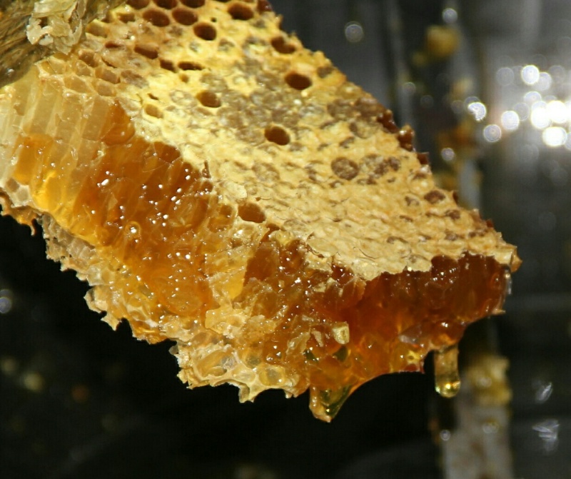 大巴山森林土蜂蜜一年采一次