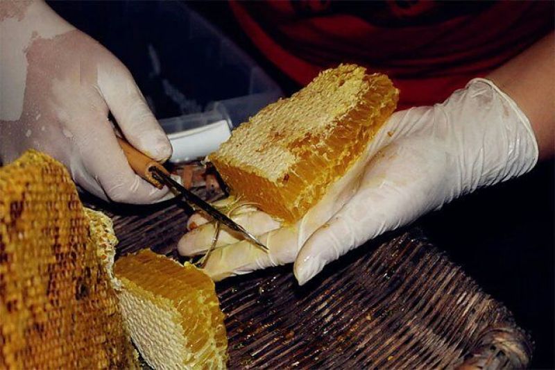 大巴山森林土蜂蜜一年采一次
