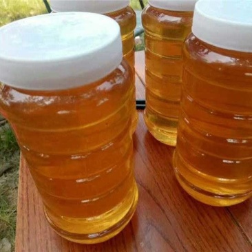 山东特产土蜂蜜货源充足保质保量欢迎电话联系