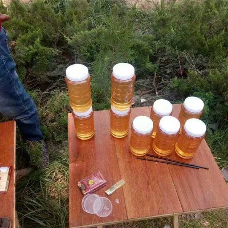 山东特产土蜂蜜货源充足保质保量欢迎电话联系