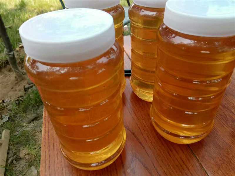 山东特产土蜂蜜货源充足保质保量欢迎电话联系