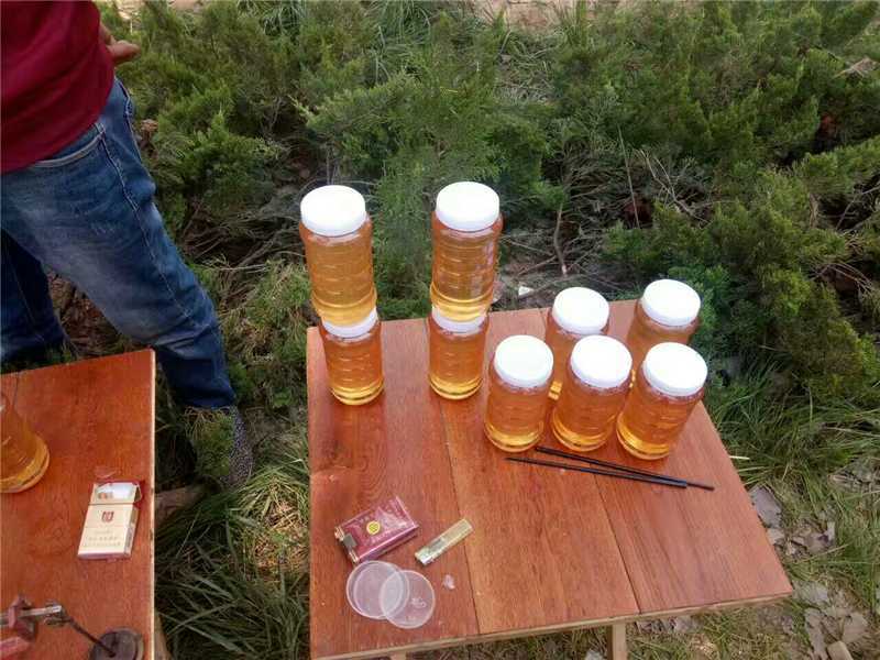 山东特产土蜂蜜货源充足保质保量欢迎电话联系