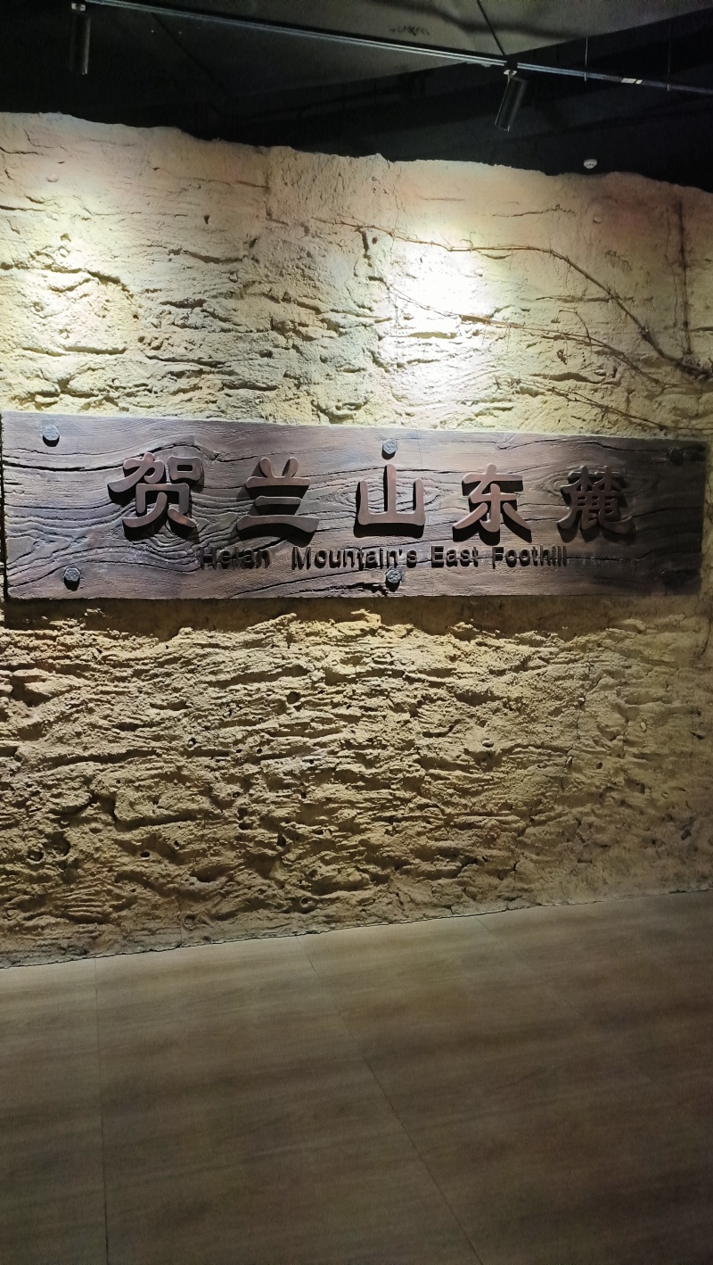 葡萄酒~宁夏贺兰山东麓葡萄酒，花香味十足，口感浓郁，直发