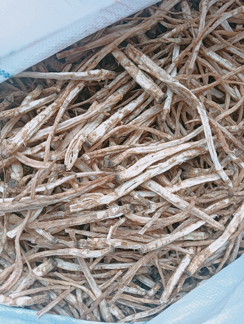 河北地产去皮南沙参个子