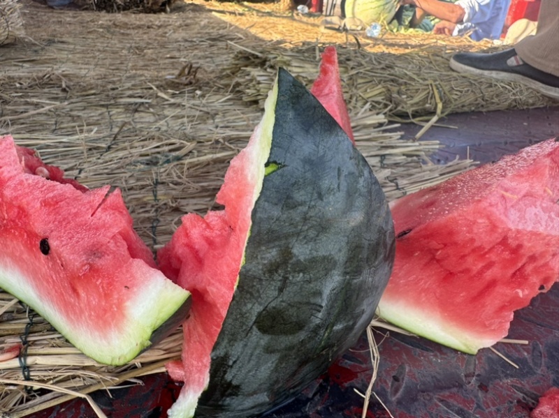 淮南头茬黑美人精品