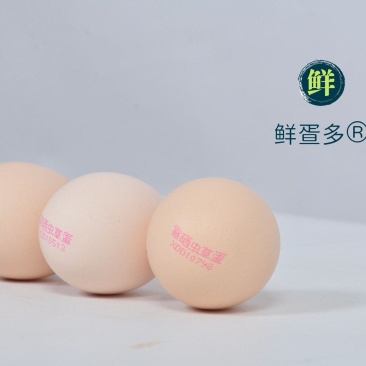 邯郸富硒虫草土鸡蛋，整箱360枚，45斤净重，欢迎采购。