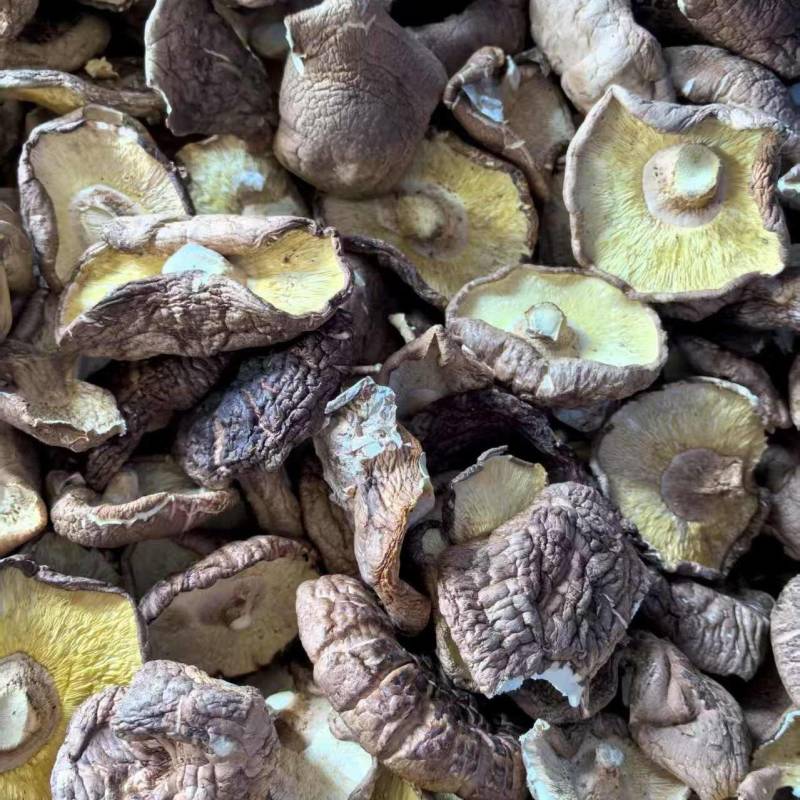 香菇大片干香菇大量有货基地直供品质优可对接市场欢迎咨询