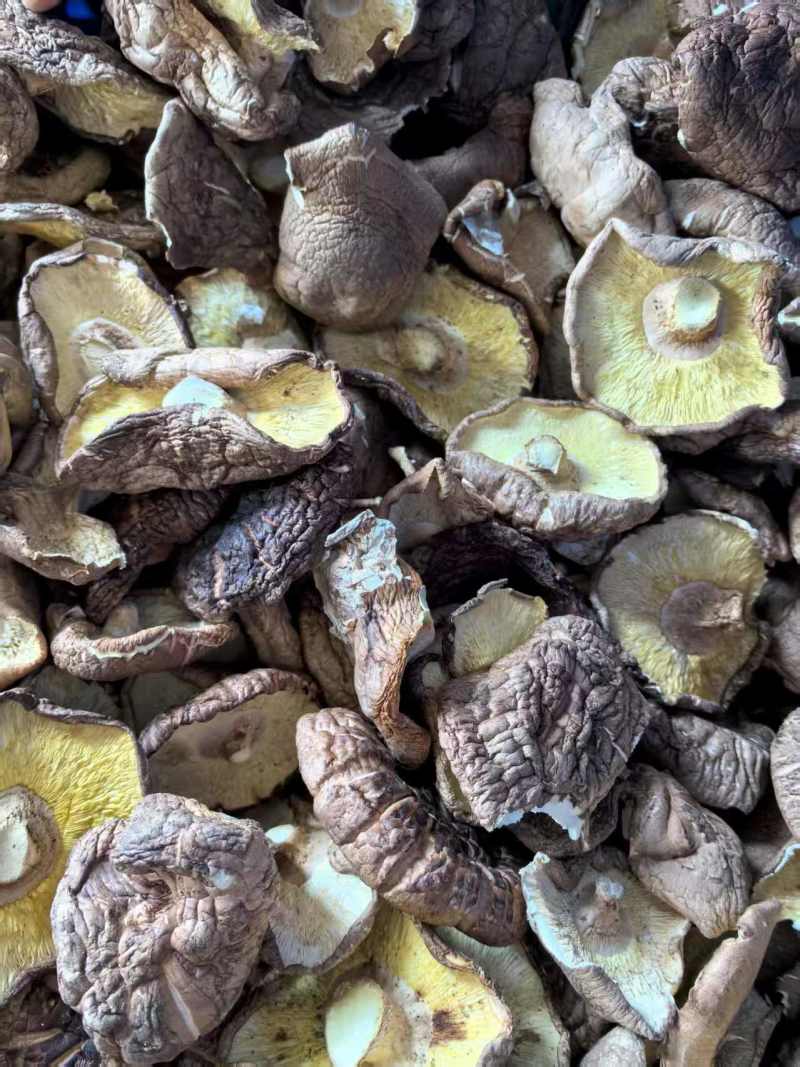 香菇大片干香菇大量有货基地直供品质优可对接市场欢迎咨询