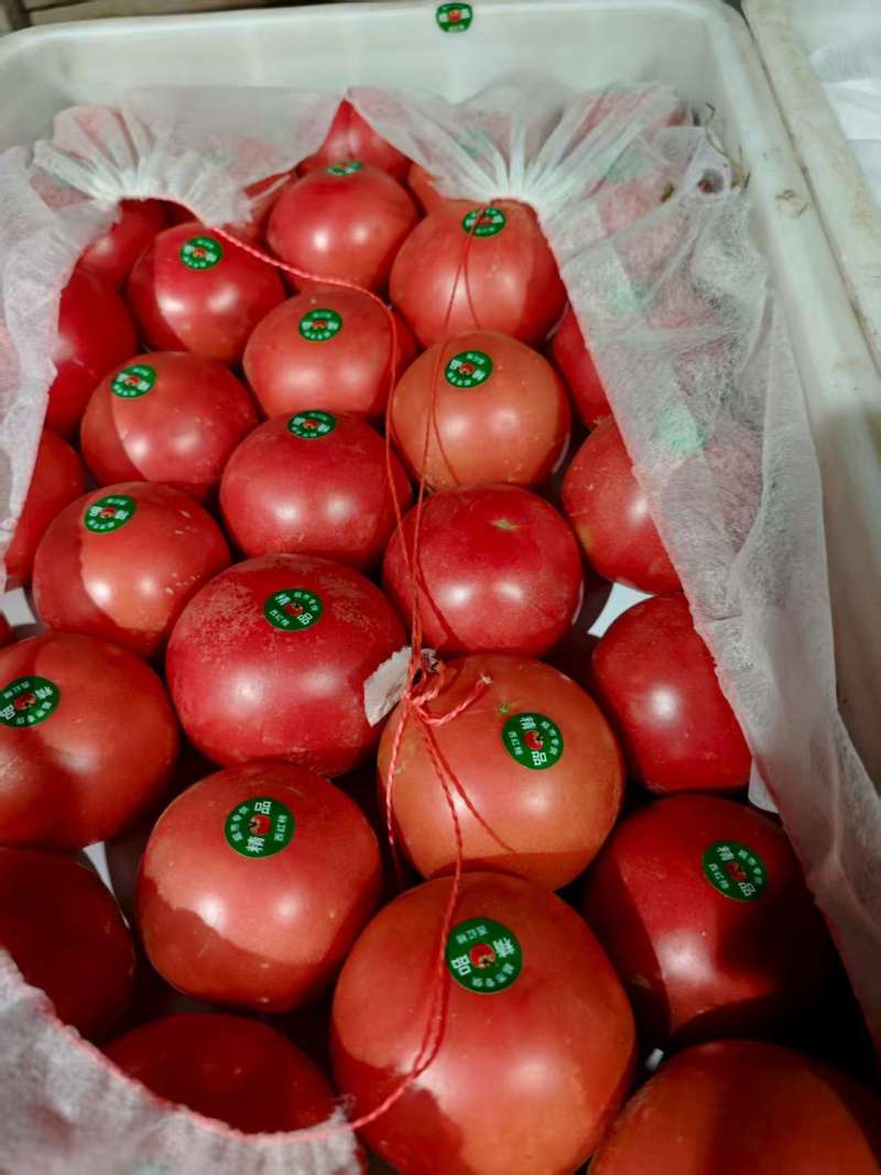 山东菏泽，定陶黄店西红柿大量现货电商超市市场都有，