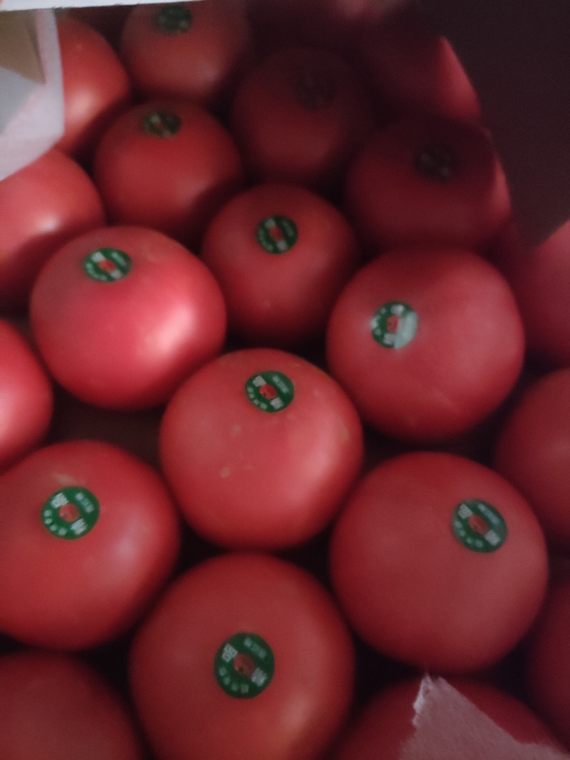 山东菏泽，定陶黄店西红柿大量现货电商超市市场都有，