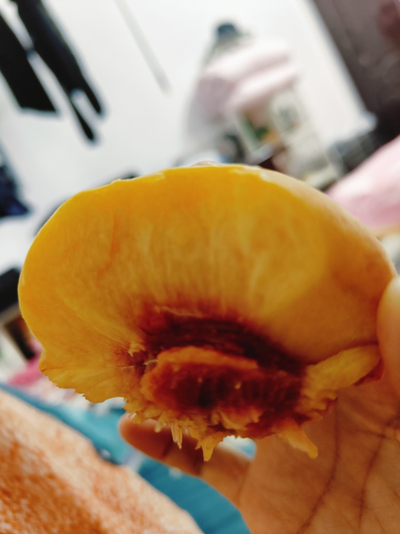 锦绣黄桃糖度高脆甜口套袋的不套袋的都有。对接各种渠道。
