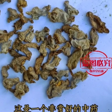 芝麻花干花中药材芝麻花