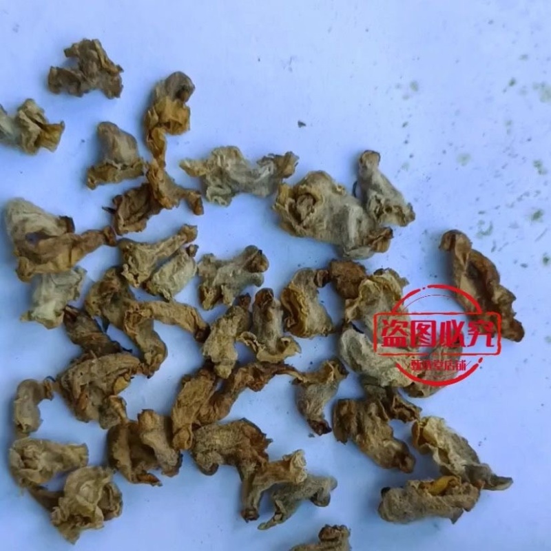芝麻花干花中药材芝麻花