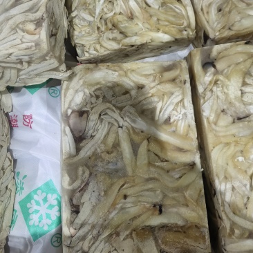 秘鲁鱿鱼皮