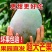 凯特芒果电商一件代发
