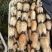精品莲藕沙地莲藕一手货源质量保证产地直发量大从优