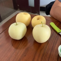 奶油嘎拉一件代发