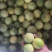 江西赣州寻乌县百香果