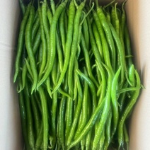 【推荐】河南线椒一手货源价格优惠供应市场商超电商