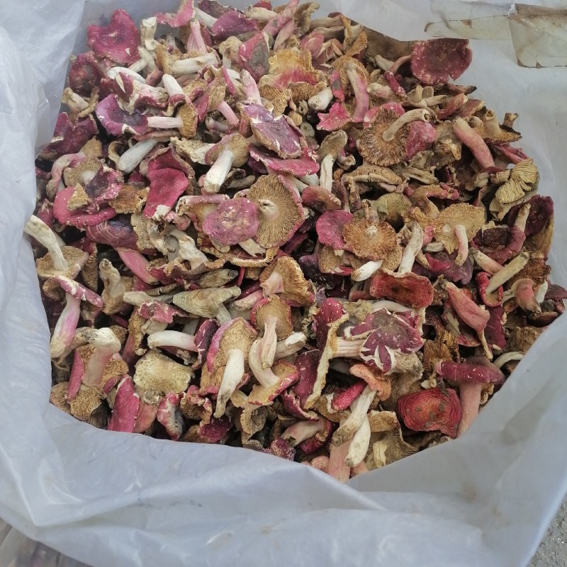 红香菌（本地特产野生红香菌。营养丰富是**补品）