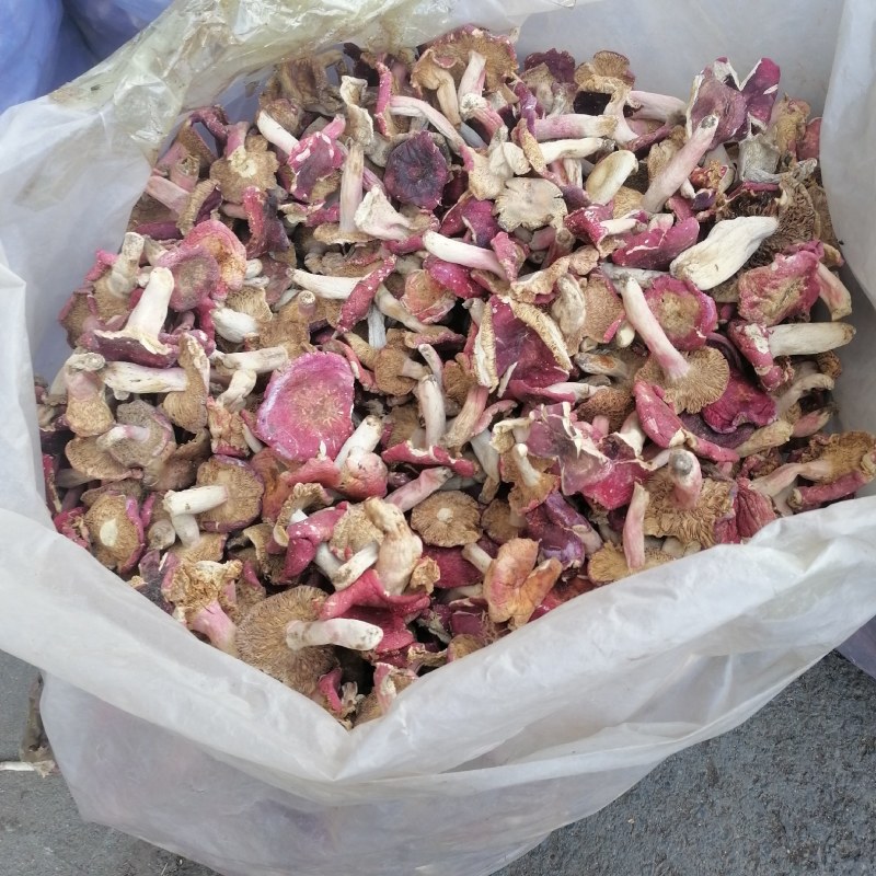 红香菌（本地特产野生红香菌。营养丰富是**补品）