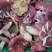 红香菌（本地特产野生红香菌。营养丰富是**补品）