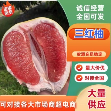精品三红柚红心柚基地直供对接全国电商团购批发商超