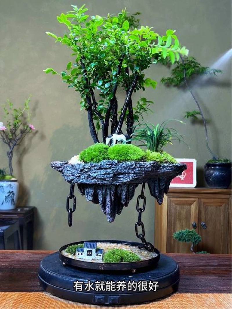 漂浮微景观