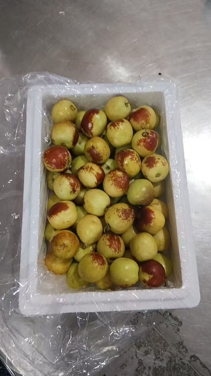 冬枣品质保证大量有货产地直销欢迎老板联系