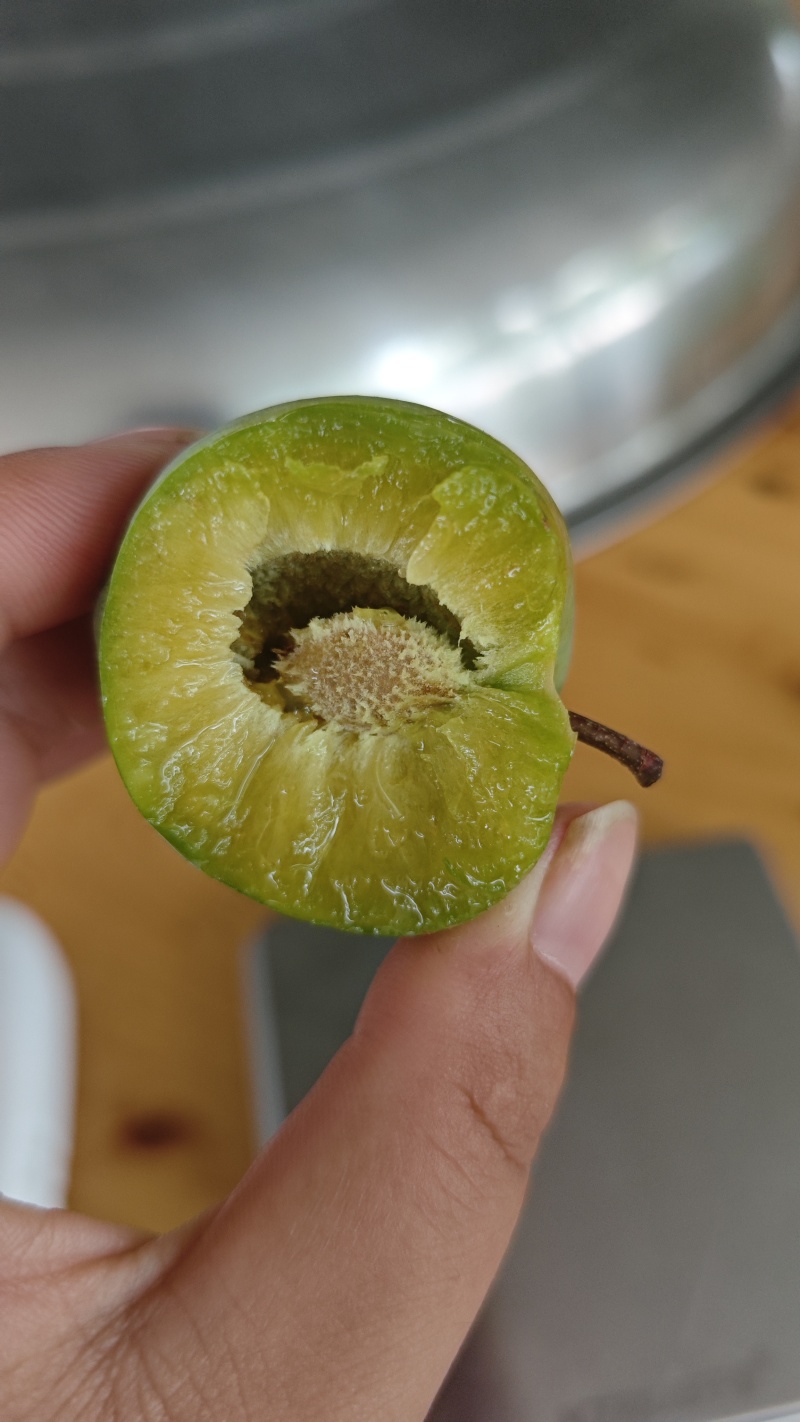 盖膜青脆李