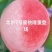 北京7号水蜜桃