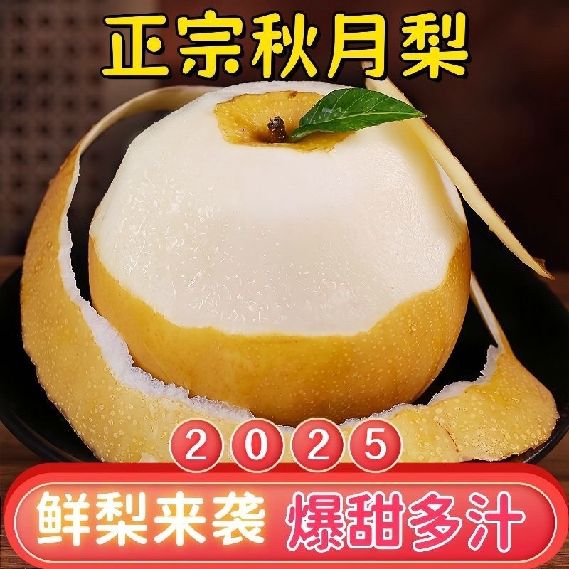 砀山秋月梨果面干净糖分高汁水饱满产地直发
