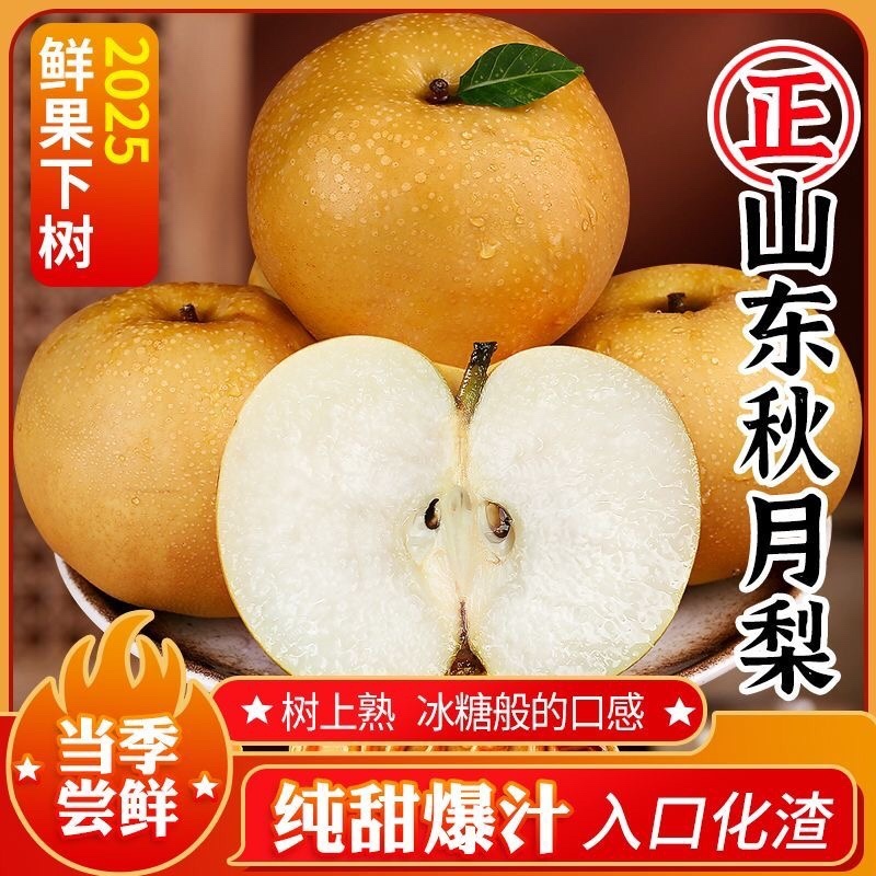 砀山秋月梨果面干净糖分高汁水饱满产地直发