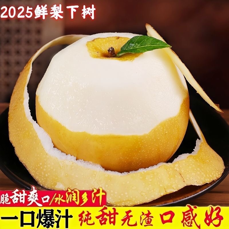 砀山秋月梨果面干净糖分高汁水饱满产地直发