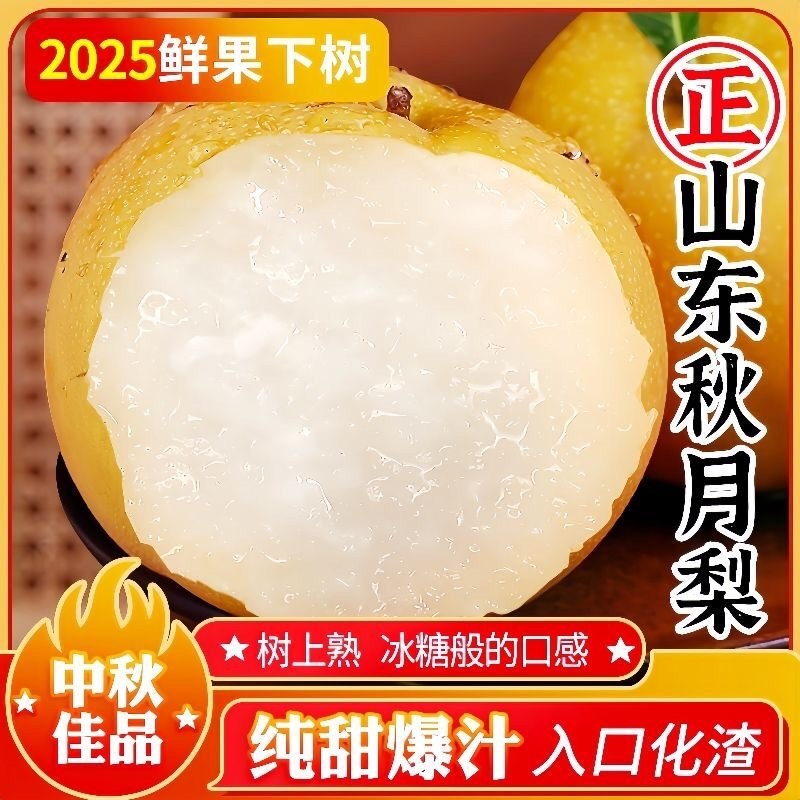 砀山秋月梨果面干净糖分高汁水饱满产地直发