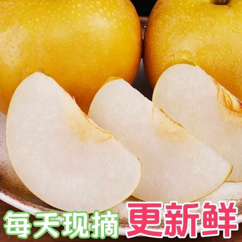 砀山秋月梨果面干净糖分高汁水饱满产地直发
