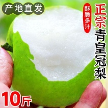 精品皇冠梨砀山产地直发品质高价格优