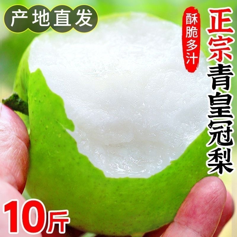 精品皇冠梨砀山产地直发品质高价格优
