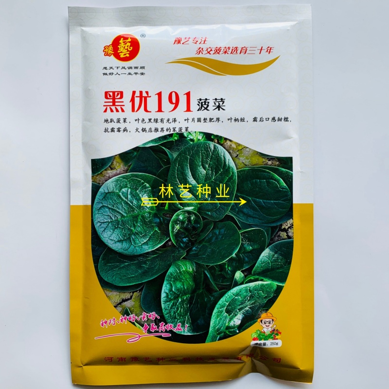 黑优191菠菜种子趴地耐热耐寒耐抽薹圆叶黑绿抗病春秋冬菠