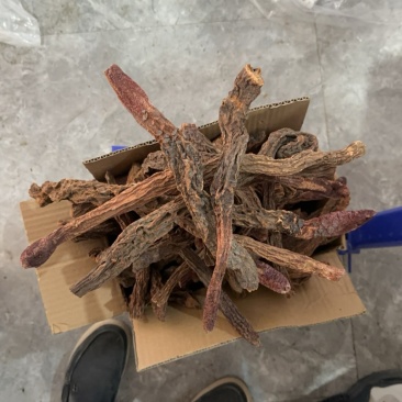 阿拉善金锁阳批发